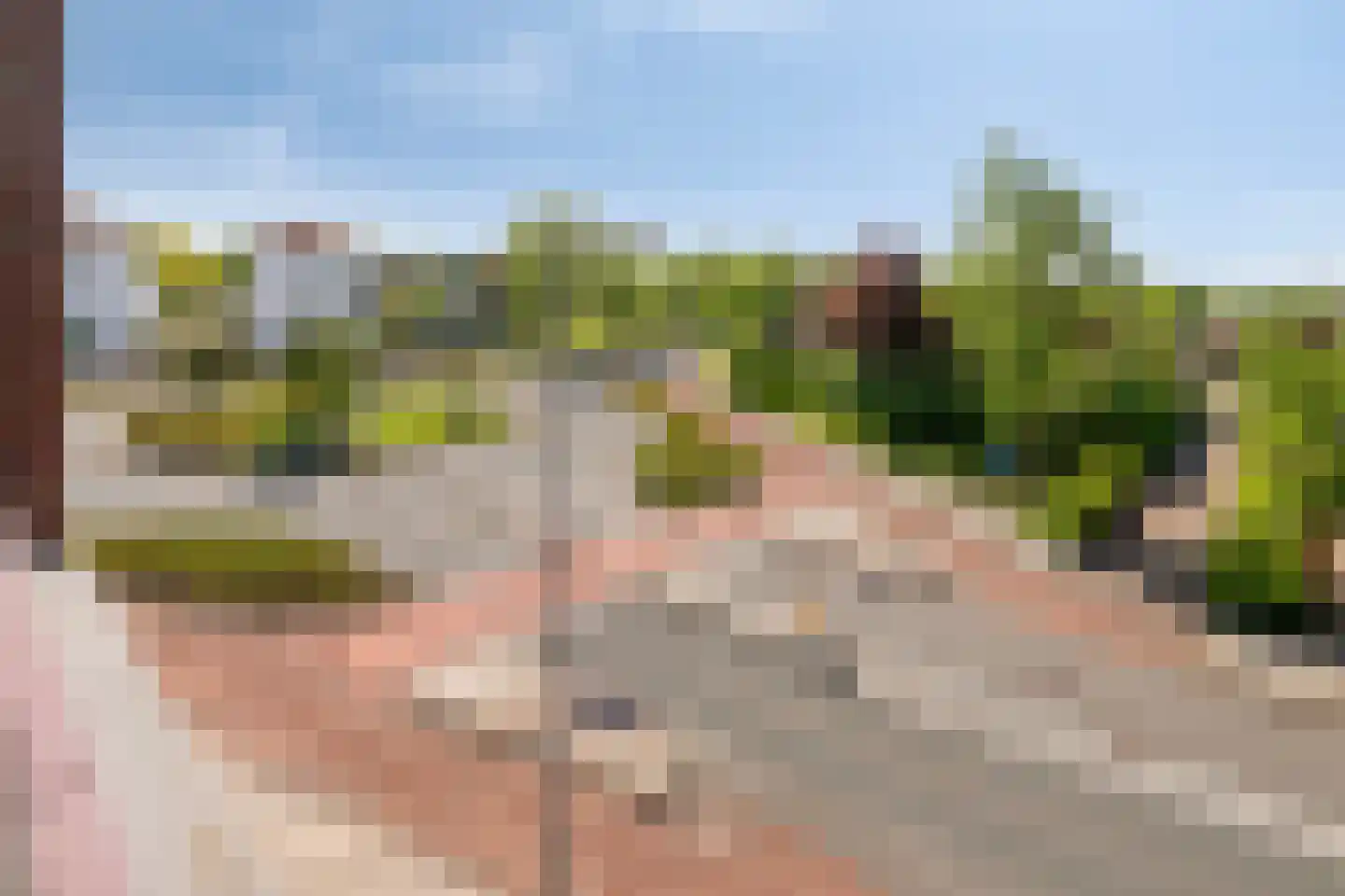 Schout van Raesfeltstraat 27 's-Hertogenbosch thumbnail 31