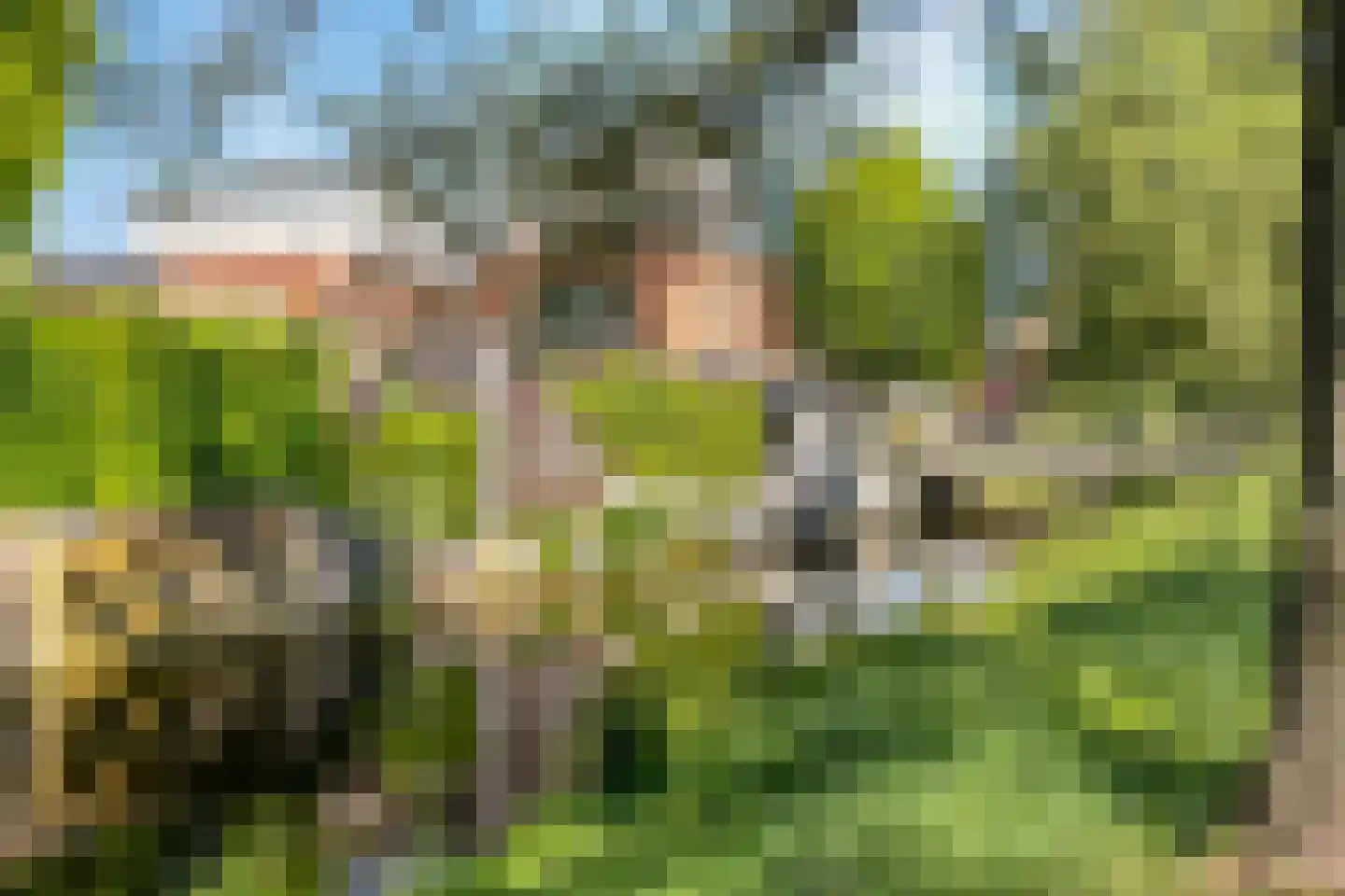 Schout van Raesfeltstraat 27 's-Hertogenbosch thumbnail 33