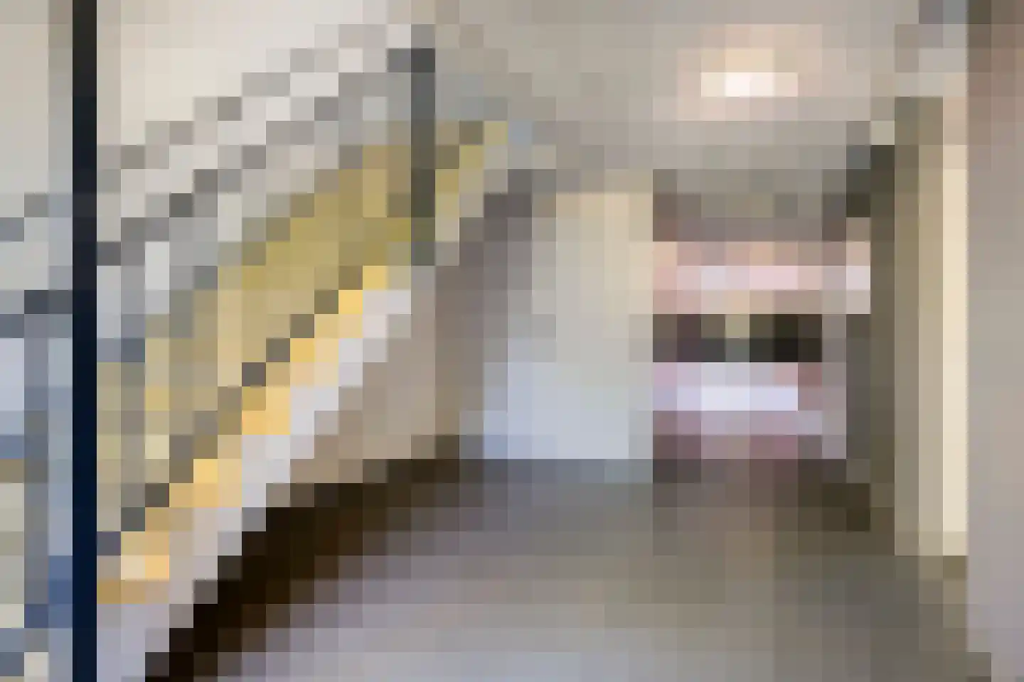 Schout van Raesfeltstraat 27 's-Hertogenbosch thumbnail 8