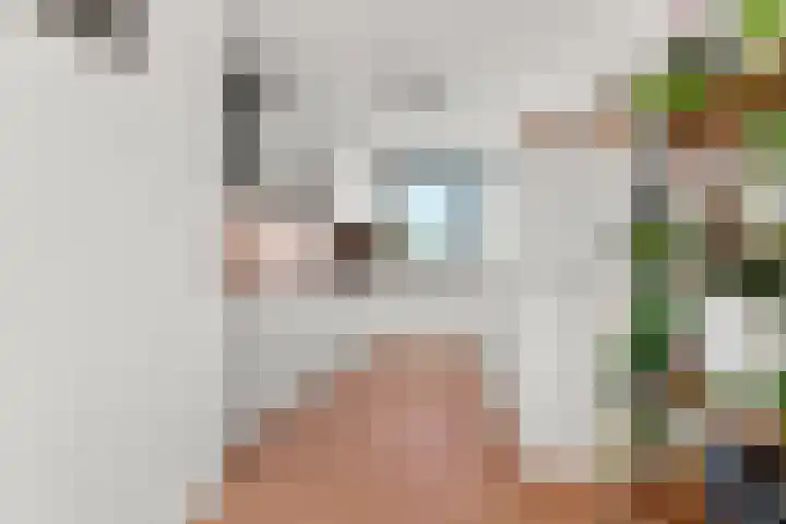 Schout van Raesfeltstraat 51 's-Hertogenbosch thumbnail 11