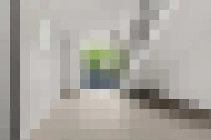 Schout van Raesfeltstraat 51 's-Hertogenbosch thumbnail 7