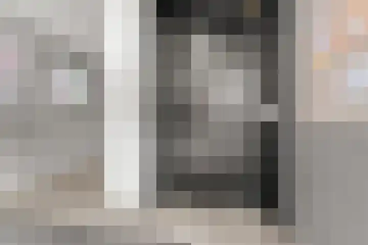 Schout van Raesfeltstraat 51 's-Hertogenbosch thumbnail 8