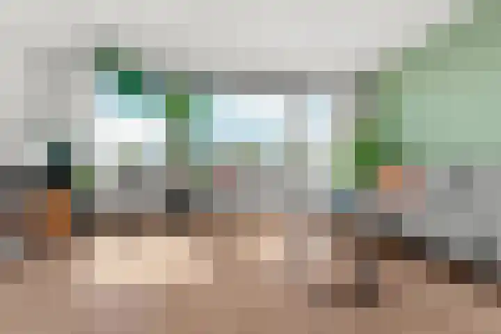 Schout van Raesfeltstraat 51 's-Hertogenbosch thumbnail 9