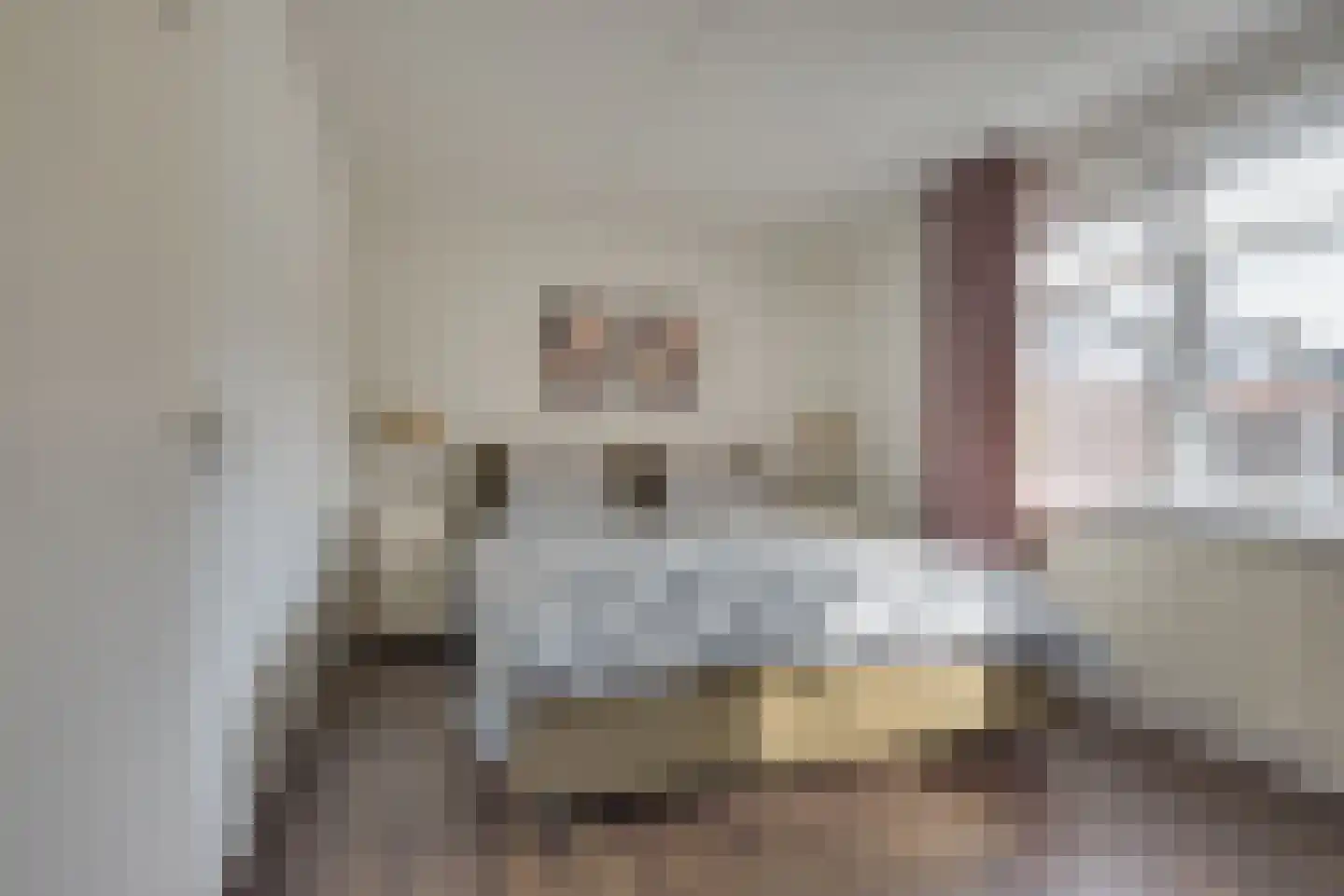 Schout van Vertaingstraat 13 's-Hertogenbosch thumbnail 15