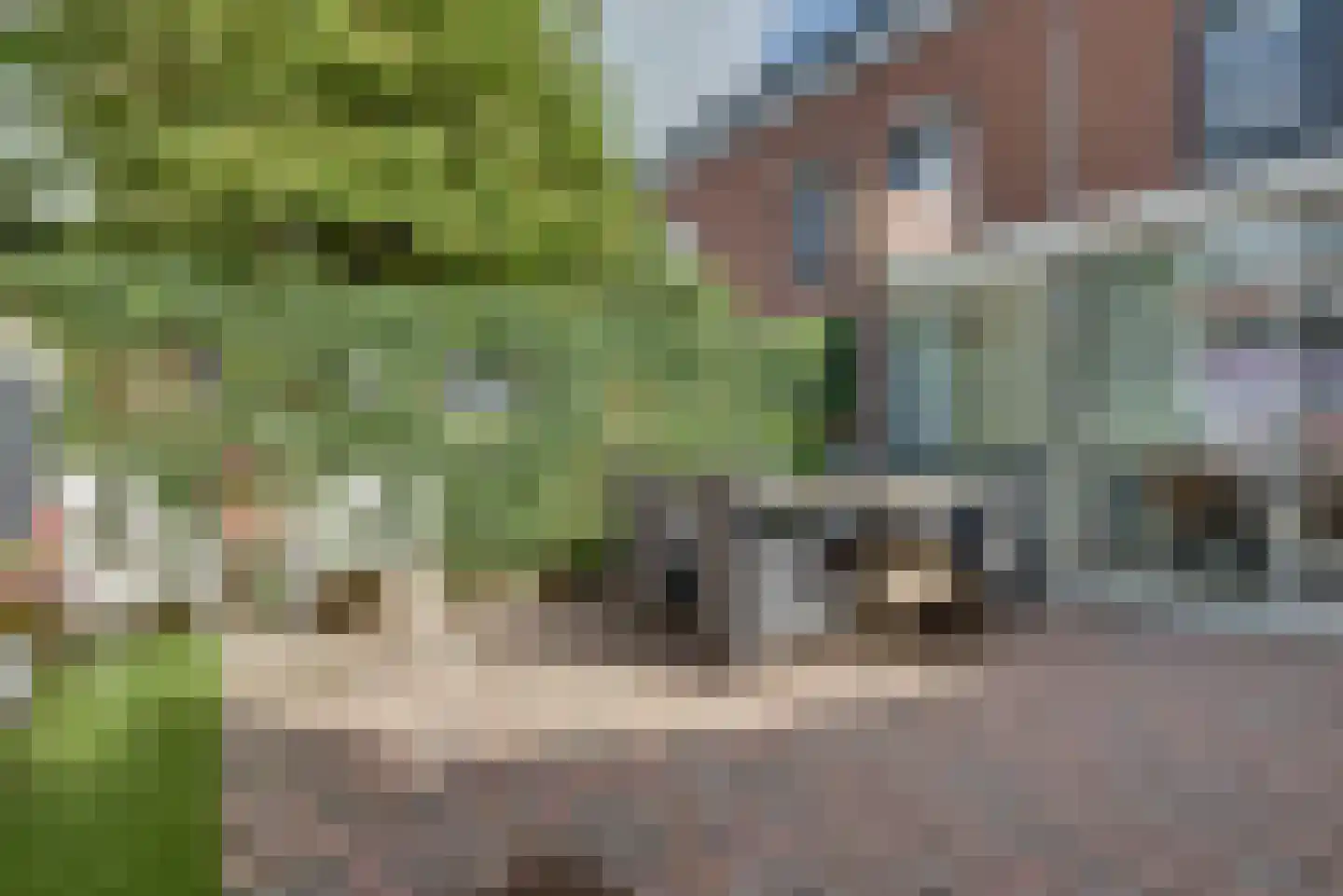 Schout van Vertaingstraat 13 's-Hertogenbosch thumbnail 27