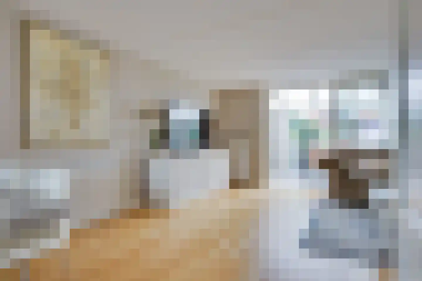 Schout van Vertaingstraat 13 's-Hertogenbosch thumbnail 6