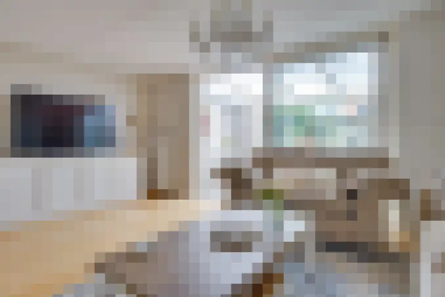 Schout van Vertaingstraat 13 's-Hertogenbosch thumbnail 7