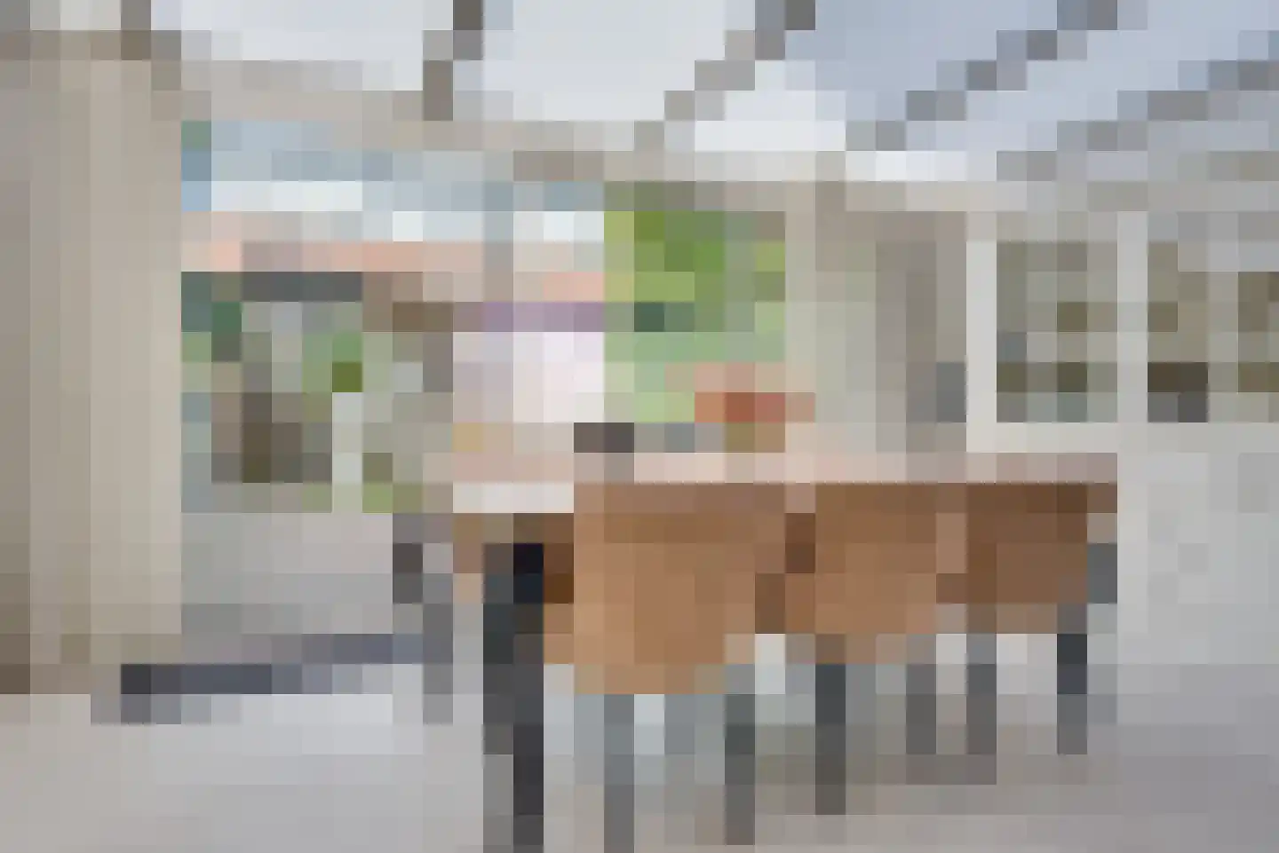 Schout van Vertaingstraat 13 's-Hertogenbosch thumbnail 8