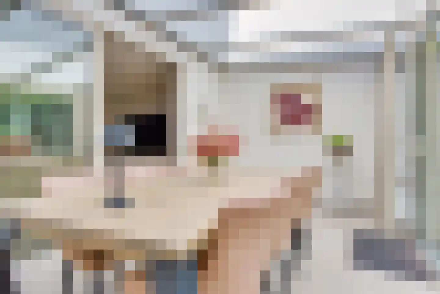 Schout van Vertaingstraat 13 's-Hertogenbosch thumbnail 9