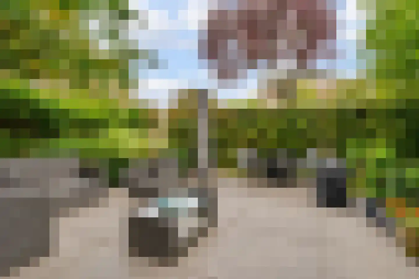 Schout van Vertaingstraat 15 's-Hertogenbosch thumbnail 21