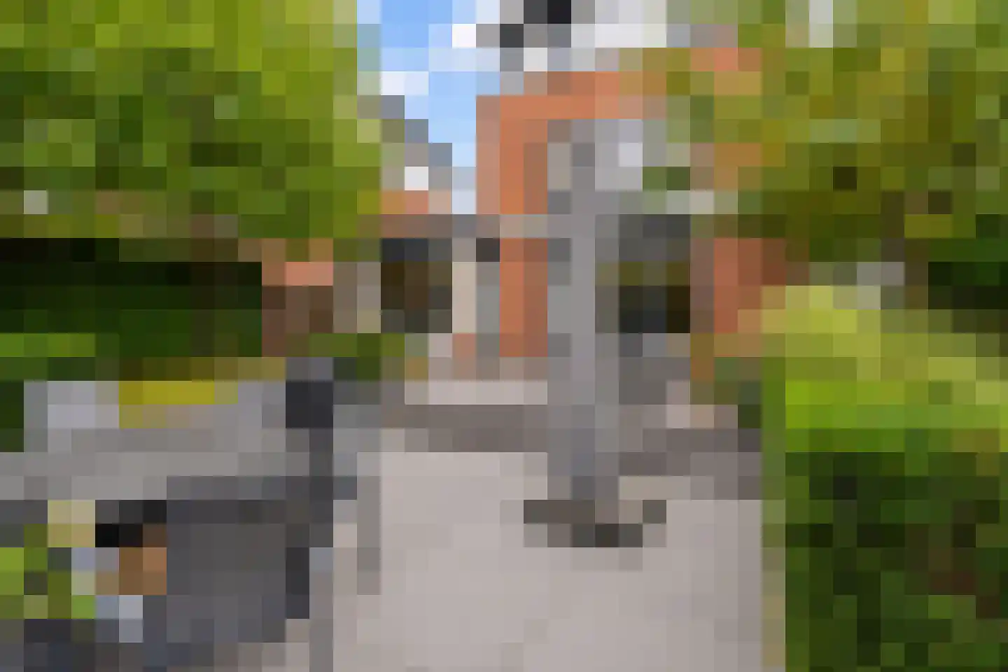 Schout van Vertaingstraat 15 's-Hertogenbosch thumbnail 22