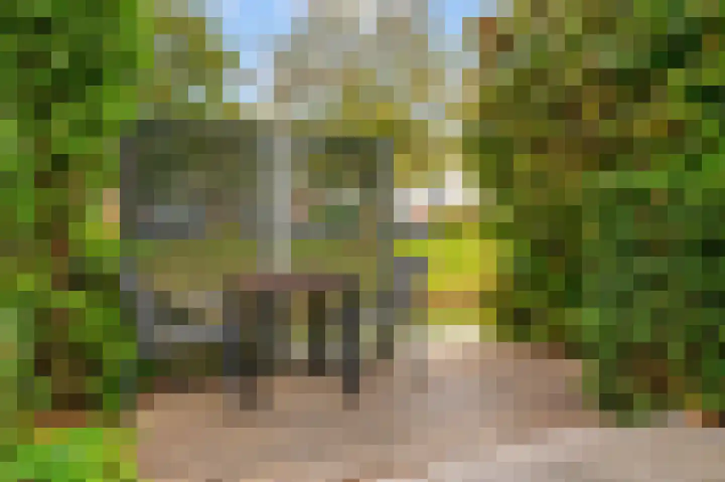 Schout van Vertaingstraat 15 's-Hertogenbosch thumbnail 24