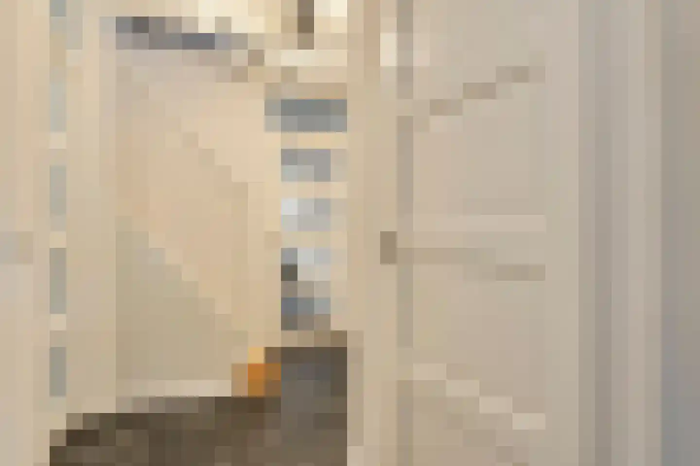 Schout van Vertaingstraat 15 's-Hertogenbosch thumbnail 30
