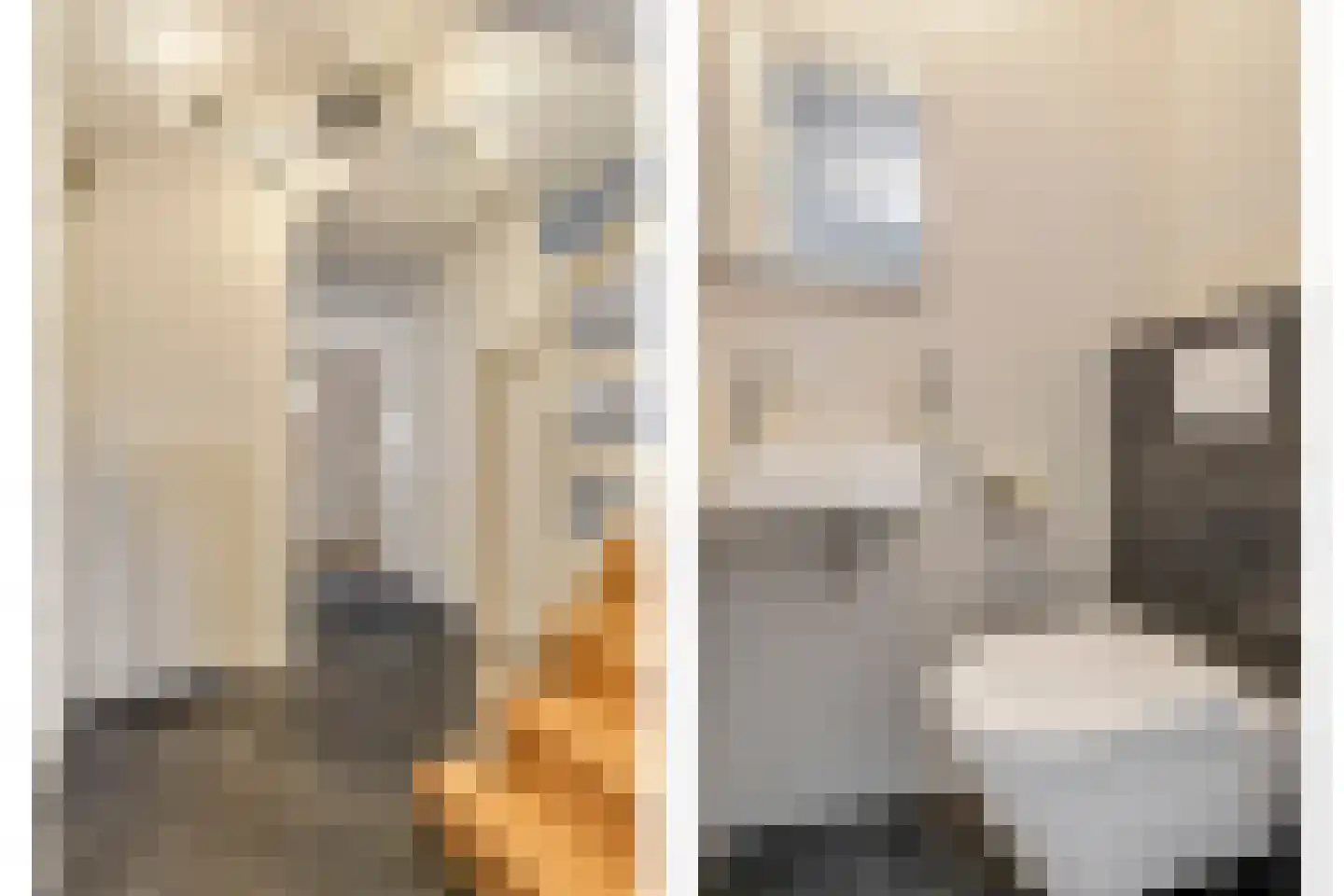 Schout van Vertaingstraat 15 's-Hertogenbosch thumbnail 31
