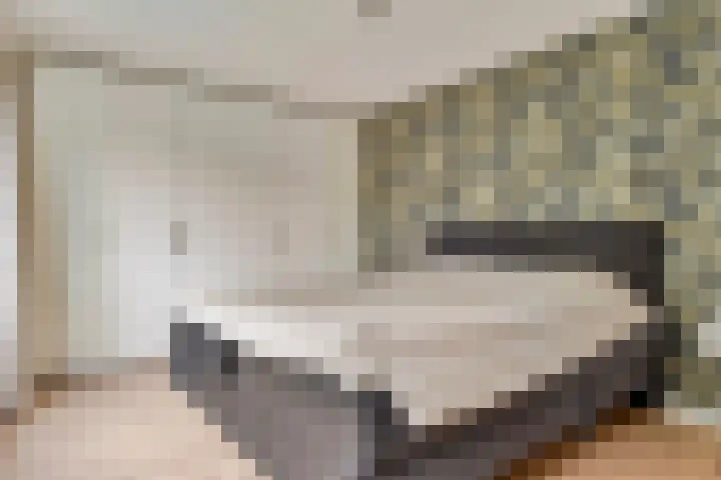 Schout van Vertaingstraat 15 's-Hertogenbosch thumbnail 32