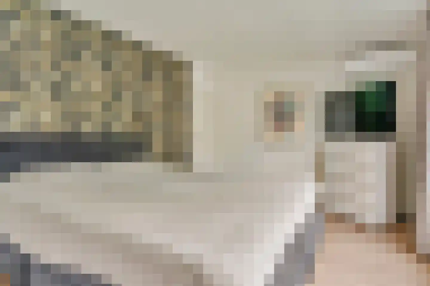 Schout van Vertaingstraat 15 's-Hertogenbosch thumbnail 33