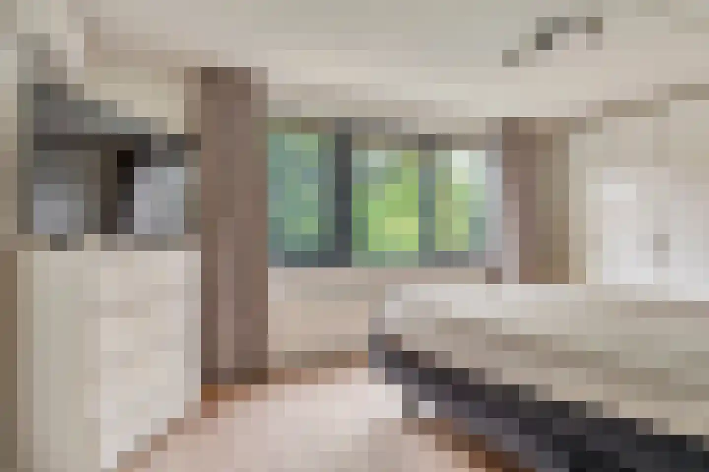 Schout van Vertaingstraat 15 's-Hertogenbosch thumbnail 34