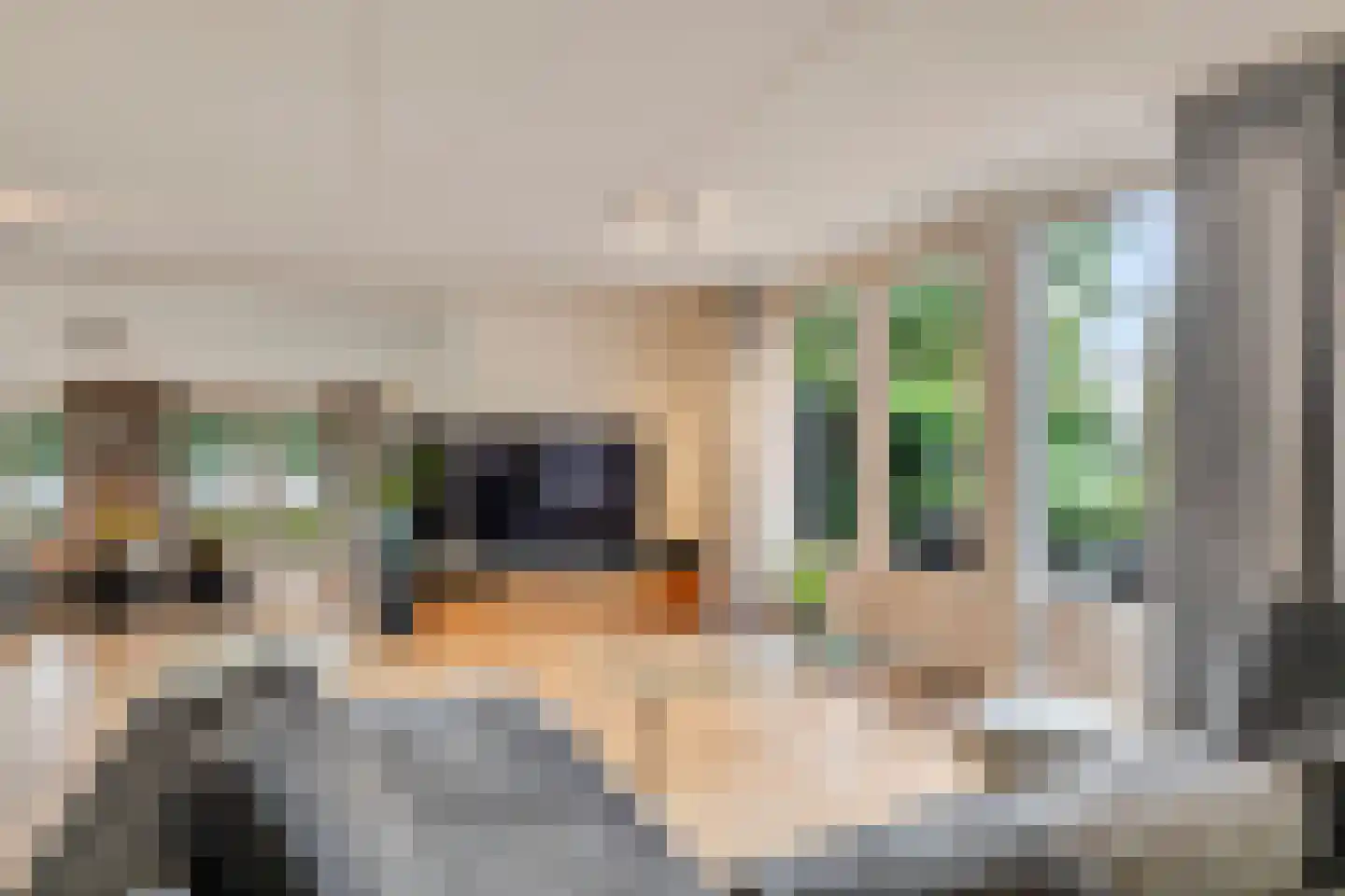 Schout van Vertaingstraat 15 's-Hertogenbosch thumbnail 4