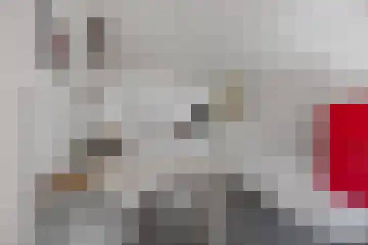 Schout van Wijkstraat 5 Vlijmen thumbnail 11