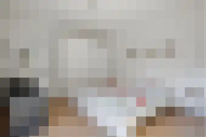 Schout van Wijkstraat 5 Vlijmen thumbnail 14