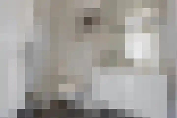 Schout van Wijkstraat 5 Vlijmen thumbnail 16