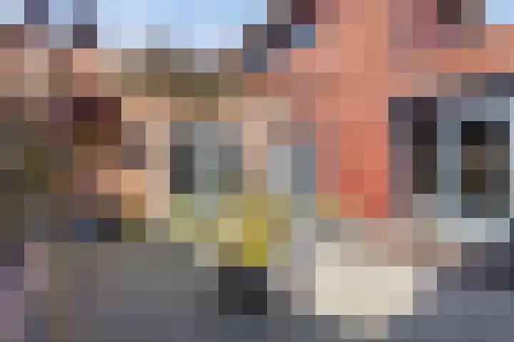 Schout van Wijkstraat 5 Vlijmen thumbnail 27