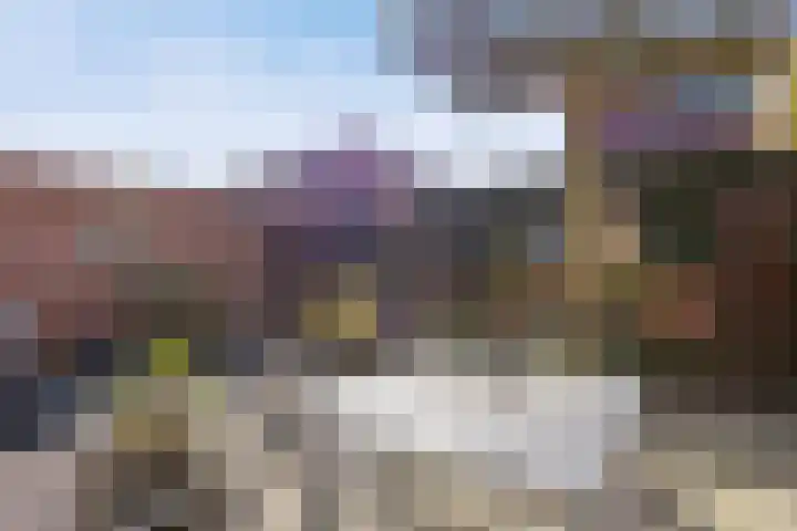 Schout van Wijkstraat 5 Vlijmen thumbnail 4