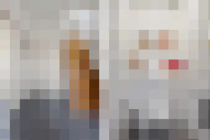 Schout van Wijkstraat 5 Vlijmen thumbnail 6