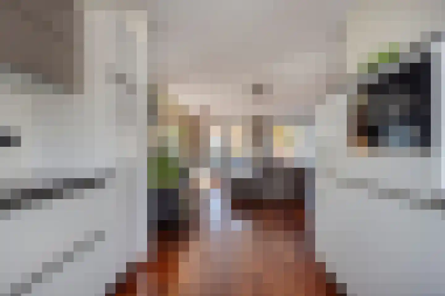 Schout van Wijngaertlaan 2 's-Hertogenbosch thumbnail 13