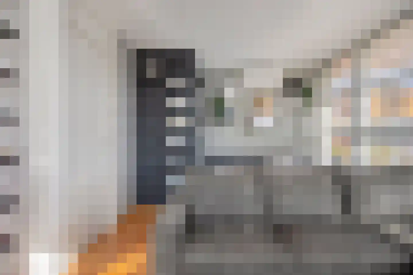 Schout van Wijngaertlaan 2 's-Hertogenbosch thumbnail 31