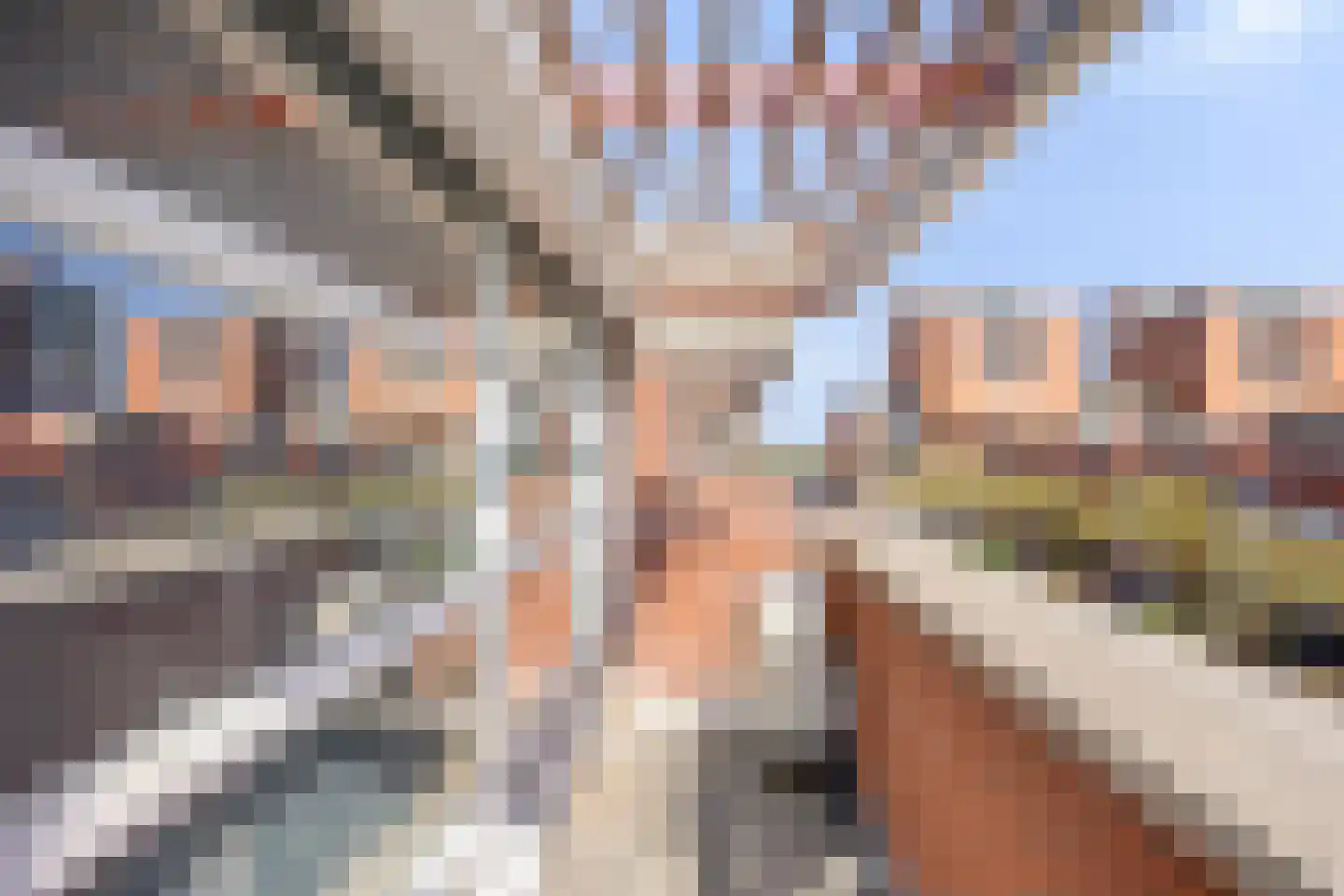 Schout van Wijngaertlaan 2 's-Hertogenbosch thumbnail 32
