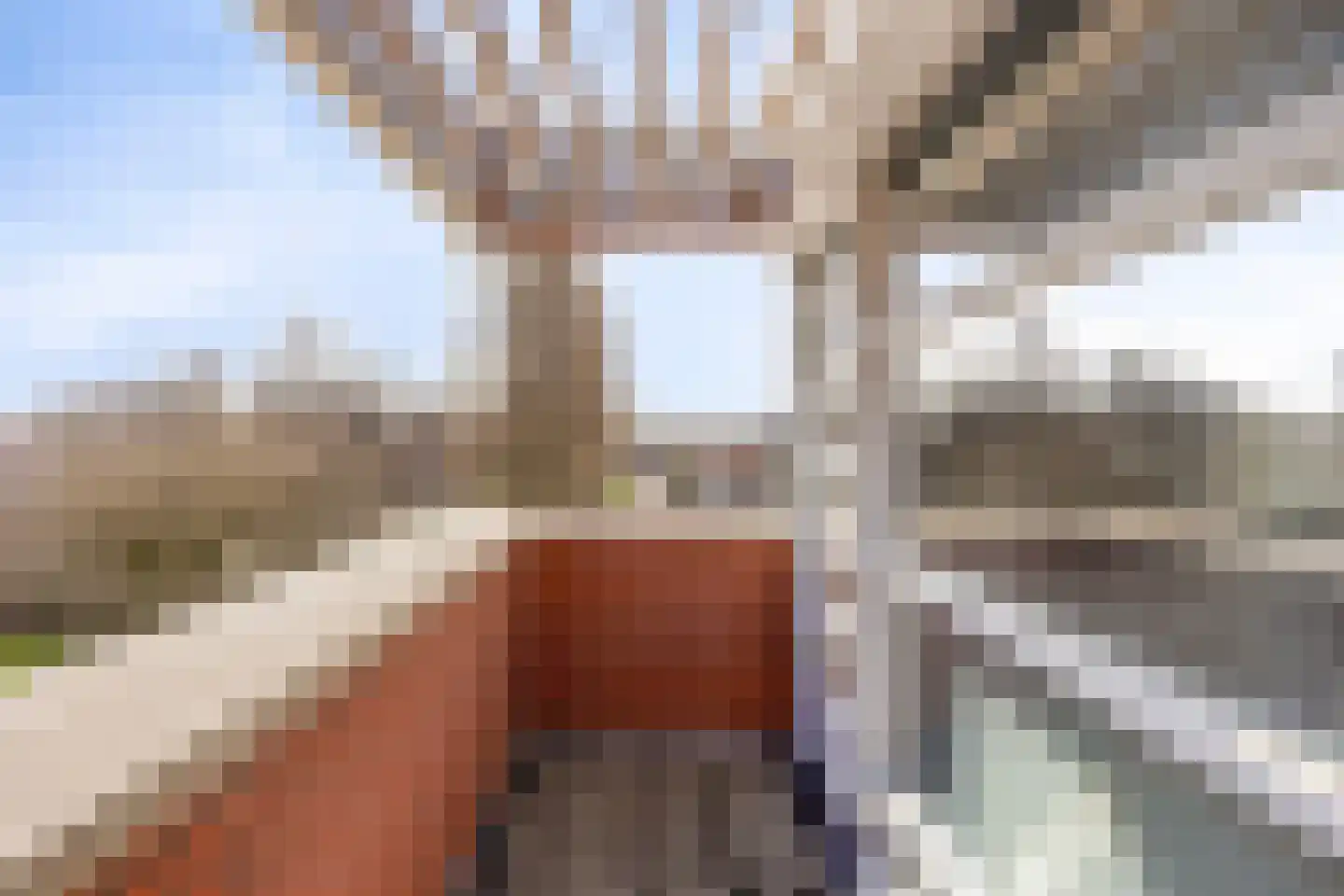 Schout van Wijngaertlaan 2 's-Hertogenbosch thumbnail 33