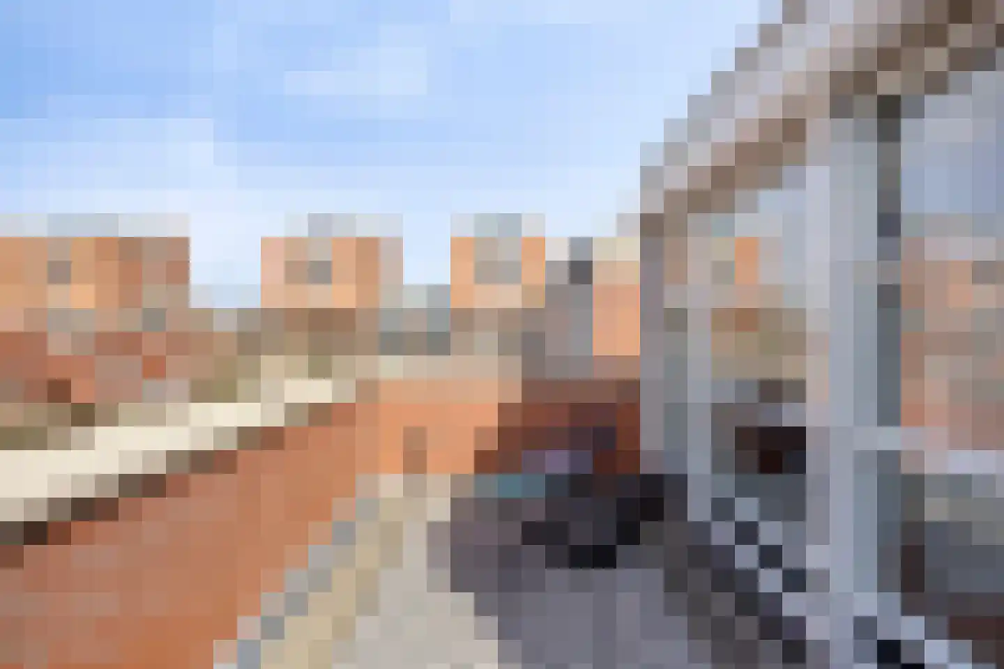 Schout van Wijngaertlaan 2 's-Hertogenbosch thumbnail 36