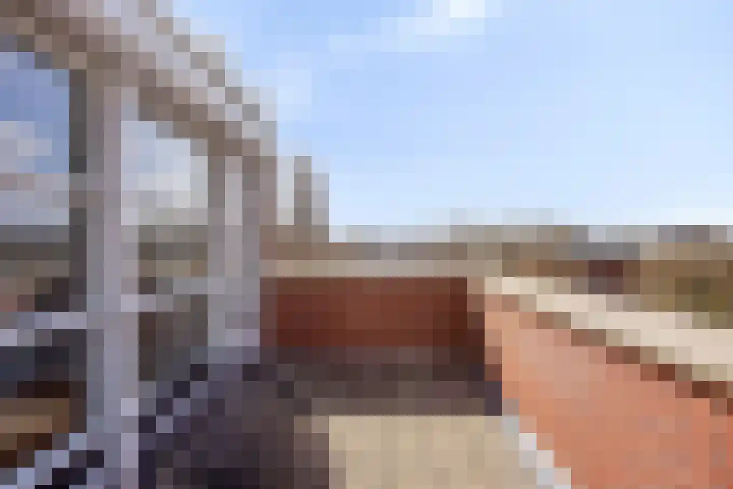 Schout van Wijngaertlaan 2 's-Hertogenbosch thumbnail 37