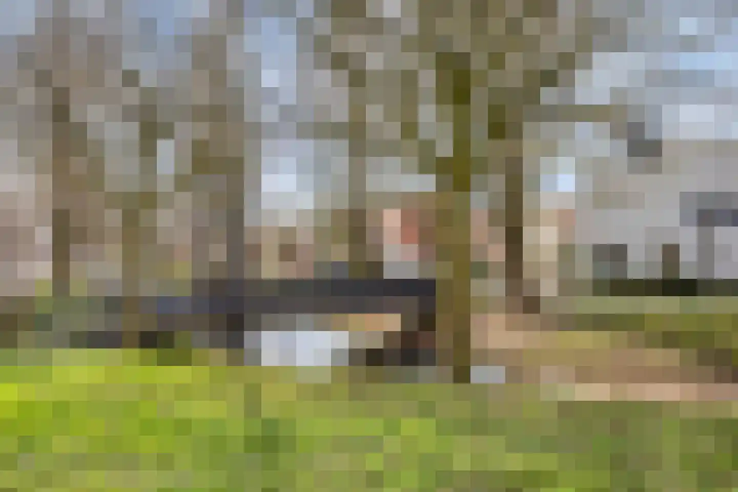 Schout van Wijngaertlaan 2 's-Hertogenbosch thumbnail 46