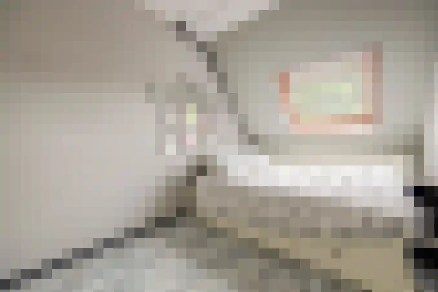 Schout Wouterszpad 12 Hoogvliet Rotterdam thumbnail 10