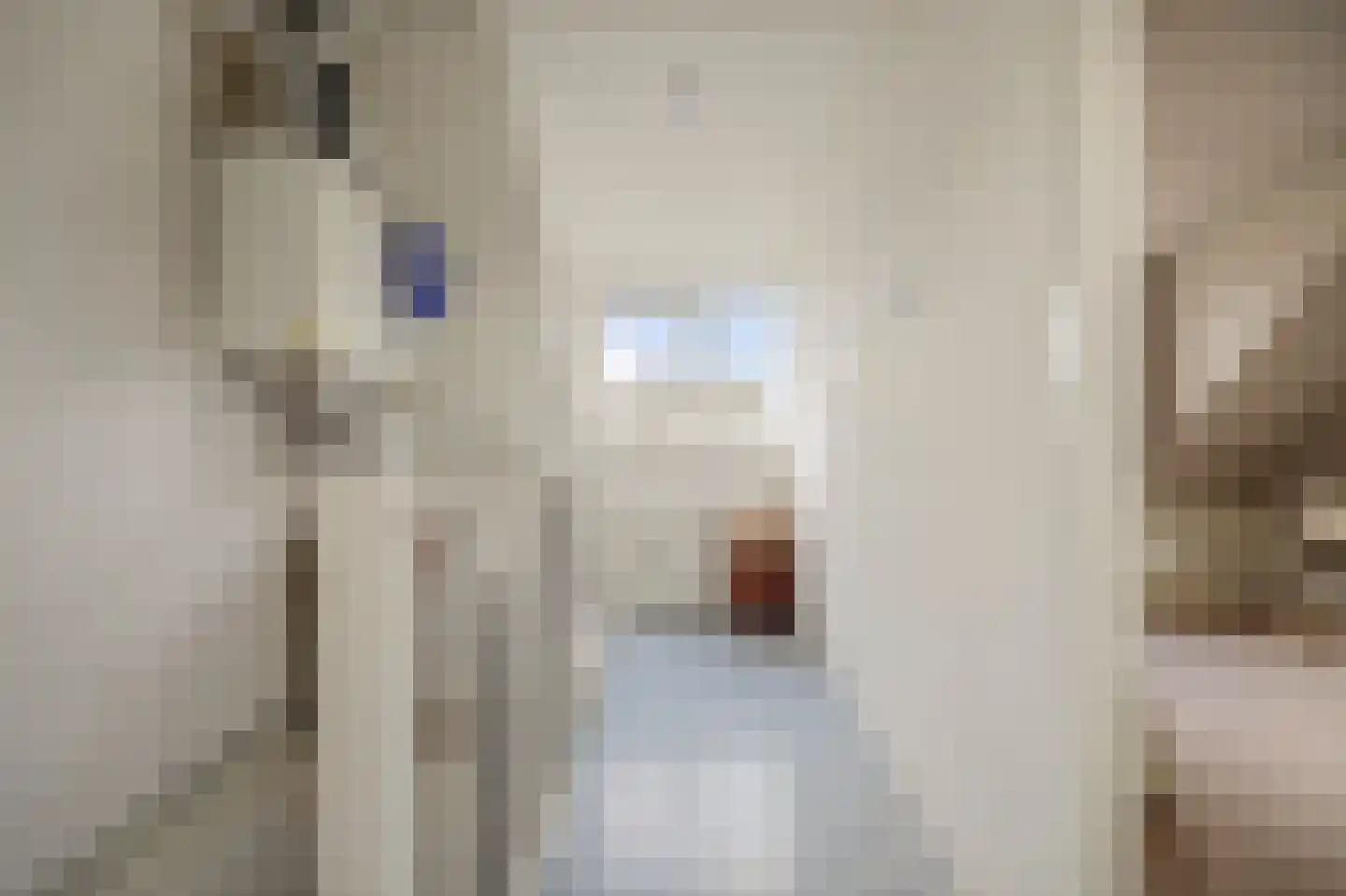 Schout Wouterszpad 12 Hoogvliet Rotterdam thumbnail 15