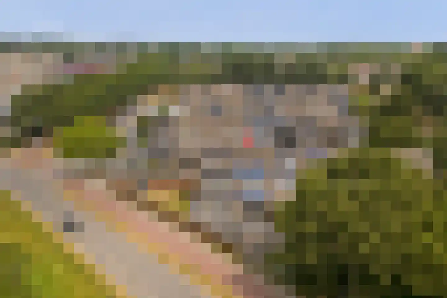 Schout Wouterszpad 12 Hoogvliet Rotterdam thumbnail 24