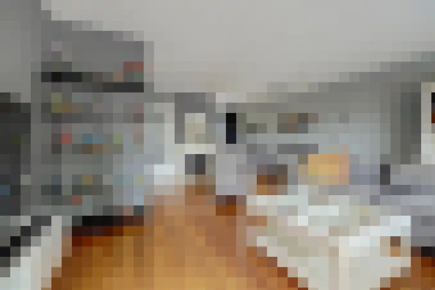 Schout Wouterszpad 12 Hoogvliet Rotterdam thumbnail 5