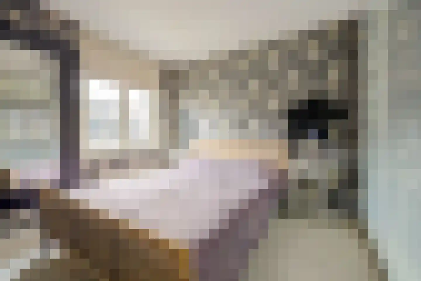 Schout Wouterszpad 12 Hoogvliet Rotterdam thumbnail 9