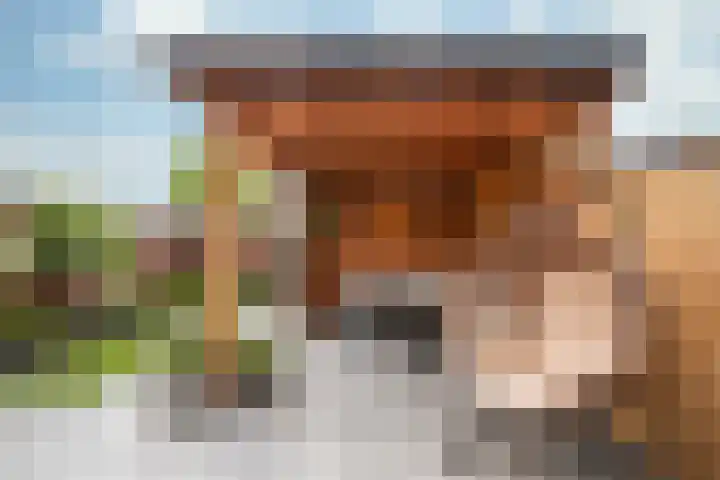 Schout Wylerstraat 24 Roermond thumbnail 20