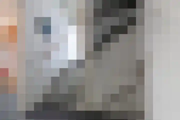 Schoutambt 20 Steenwijk thumbnail 44