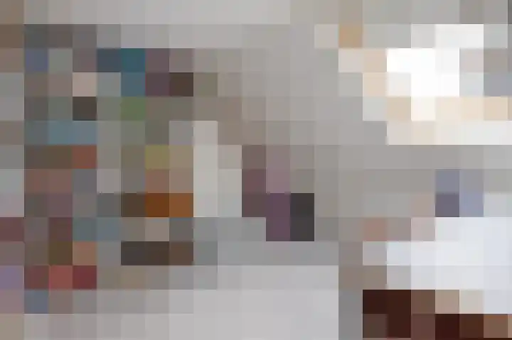 Schoutambt 20 Steenwijk thumbnail 48