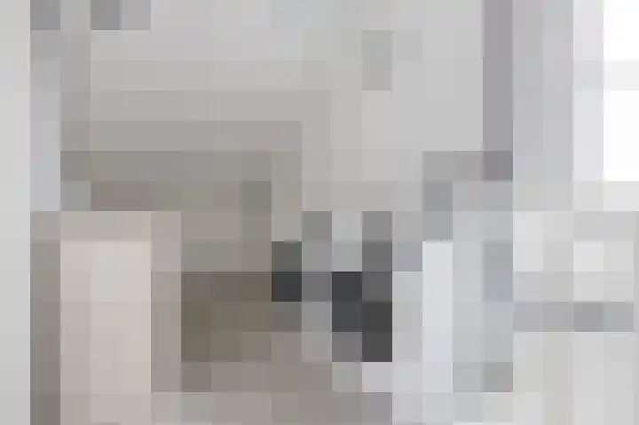 Schoutambt 20 Steenwijk thumbnail 50