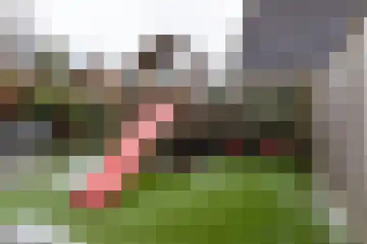 Schoutambt 20 Steenwijk thumbnail 56