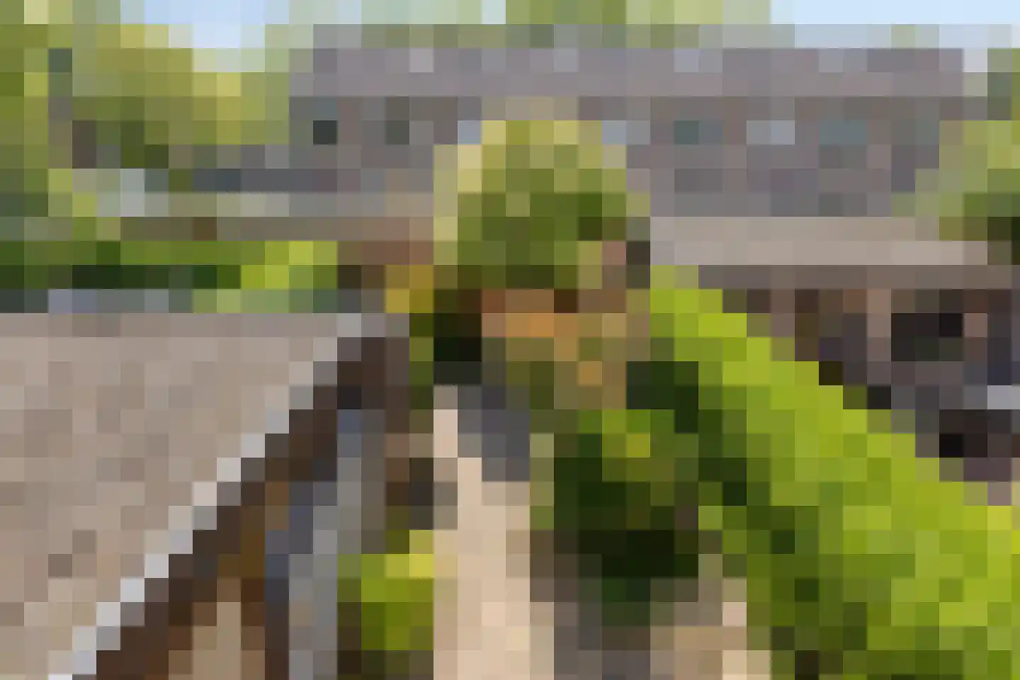 Schoutdreef 34 Oudewater thumbnail 18