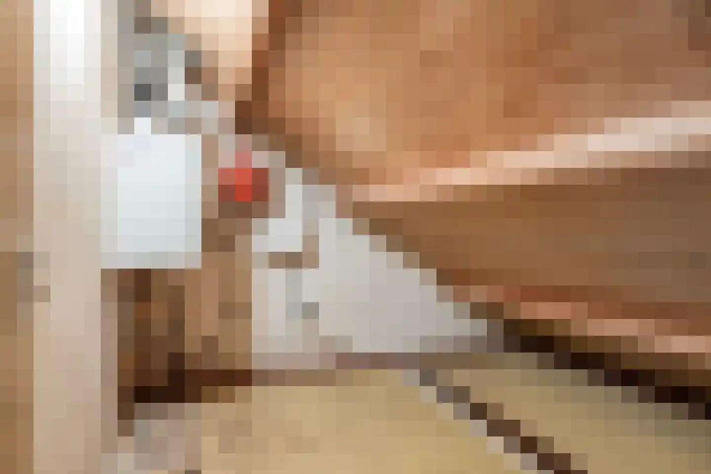 Schoutdreef 34 Oudewater thumbnail 24