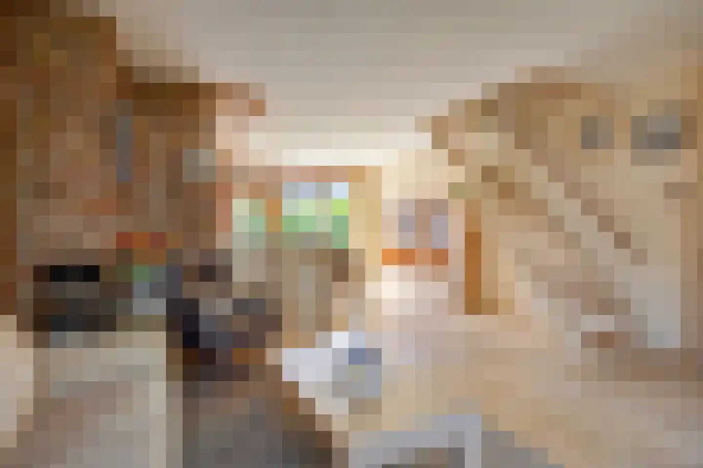 Schoutdreef 34 Oudewater thumbnail 5