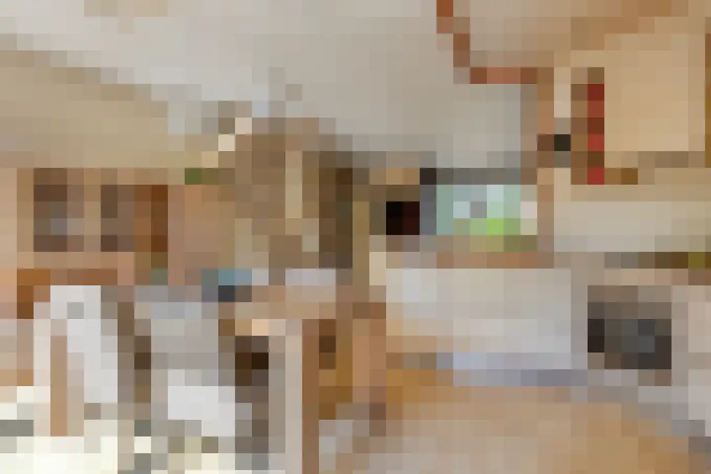 Schoutdreef 34 Oudewater thumbnail 9