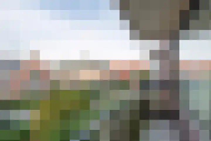 Schouten Hof 19 Barneveld thumbnail 26